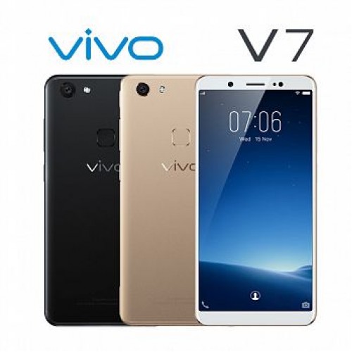 VIVO